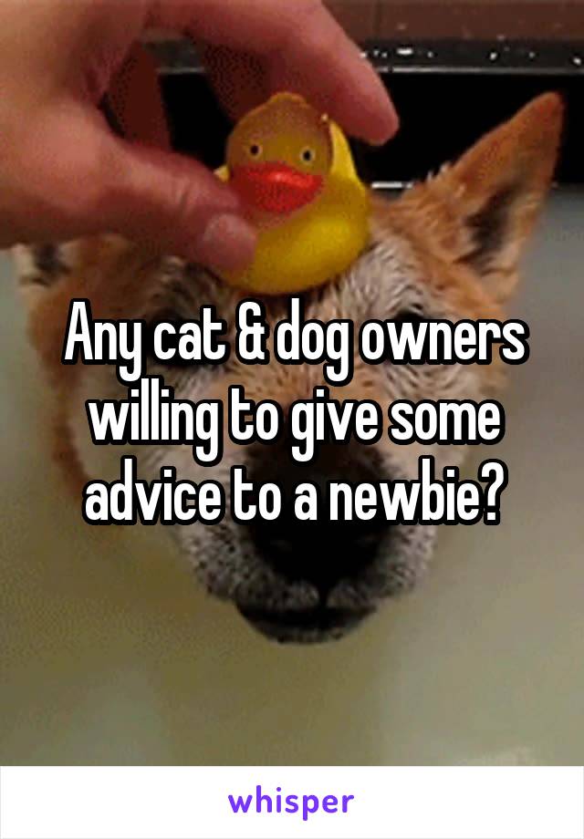 Any cat & dog owners willing to give some advice to a newbie?