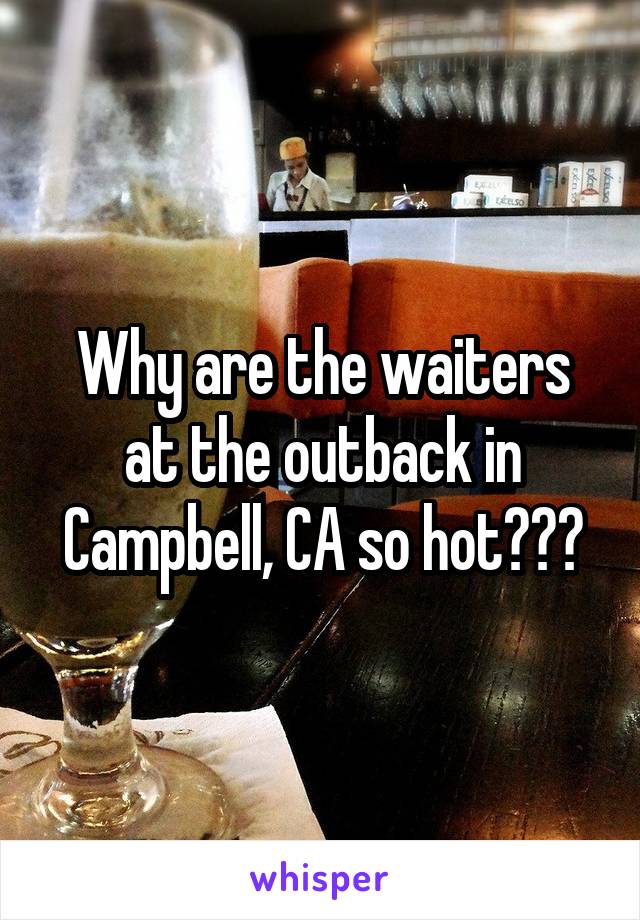Why are the waiters at the outback in Campbell, CA so hot???