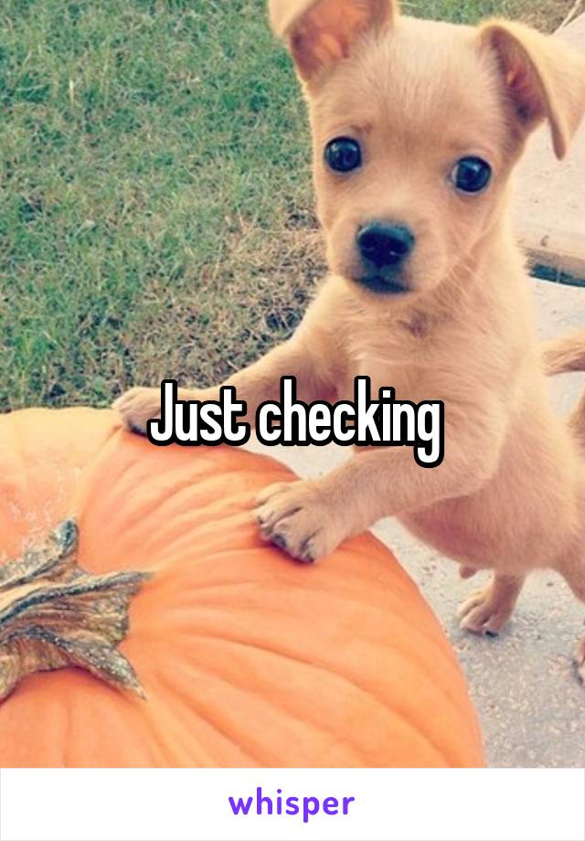 Just checking