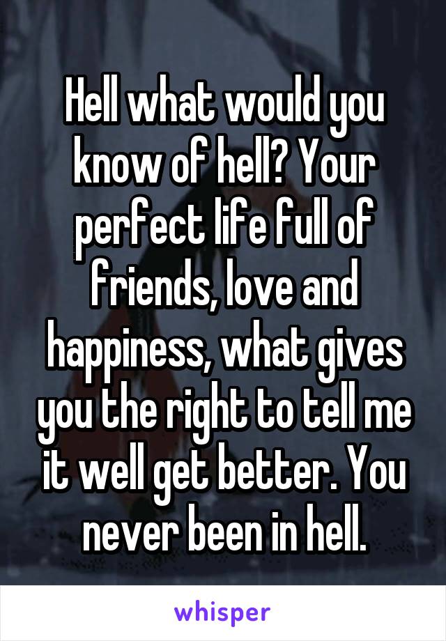 Hell what would you know of hell? Your perfect life full of friends, love and happiness, what gives you the right to tell me it well get better. You never been in hell.