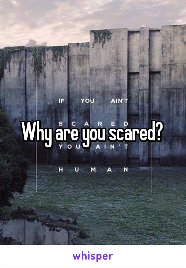Why are you scared? 