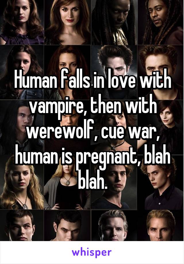 Human falls in love with vampire, then with werewolf, cue war, human is pregnant, blah blah.