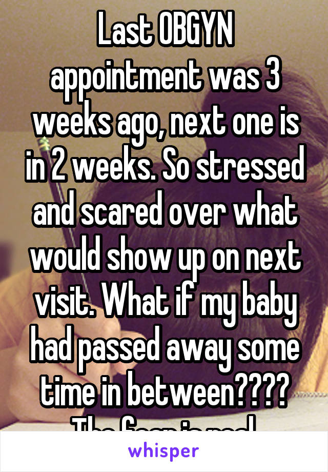 Last OBGYN appointment was 3 weeks ago, next one is in 2 weeks. So stressed and scared over what would show up on next visit. What if my baby had passed away some time in between???? The fear is real.