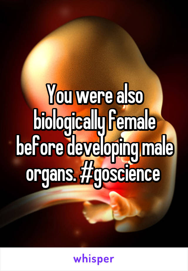 You were also biologically female before developing male organs. #goscience 
