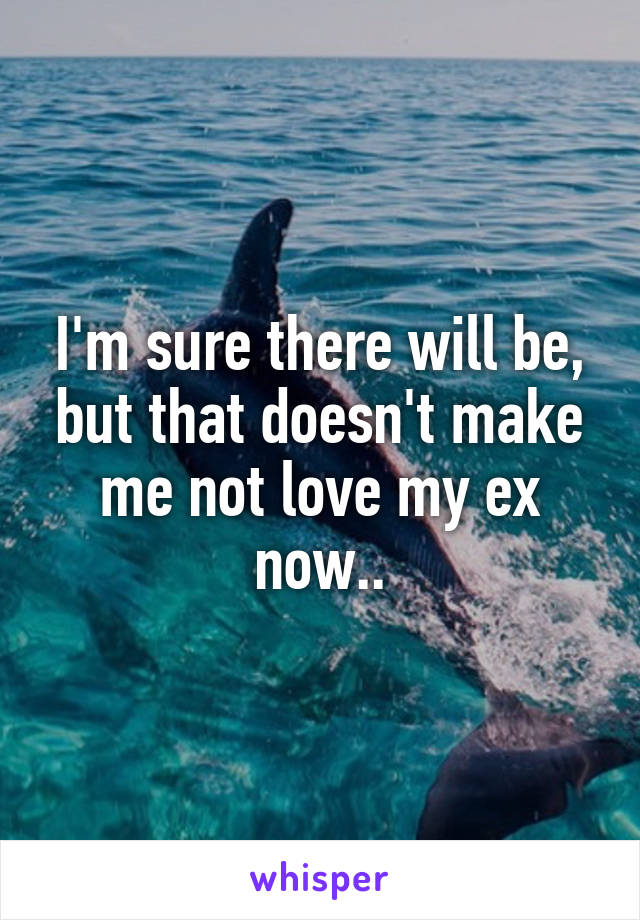 I'm sure there will be, but that doesn't make me not love my ex now..