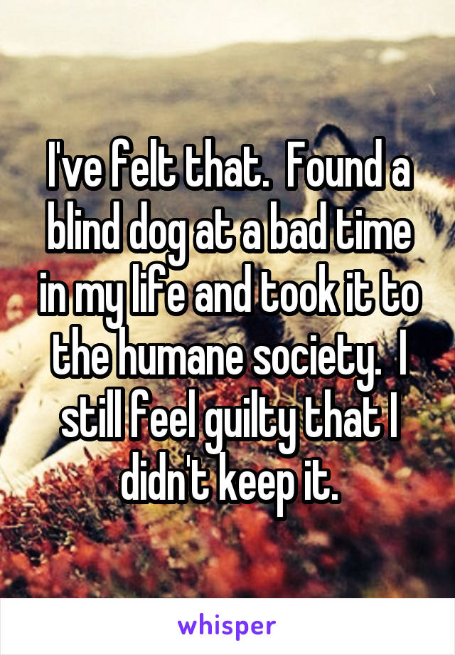 I've felt that.  Found a blind dog at a bad time in my life and took it to the humane society.  I still feel guilty that I didn't keep it.
