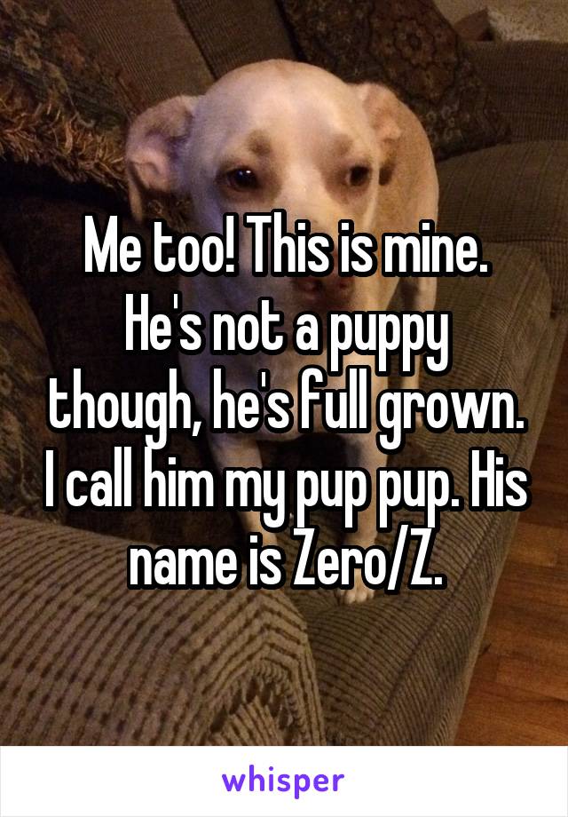Me too! This is mine.
He's not a puppy though, he's full grown. I call him my pup pup. His name is Zero/Z.