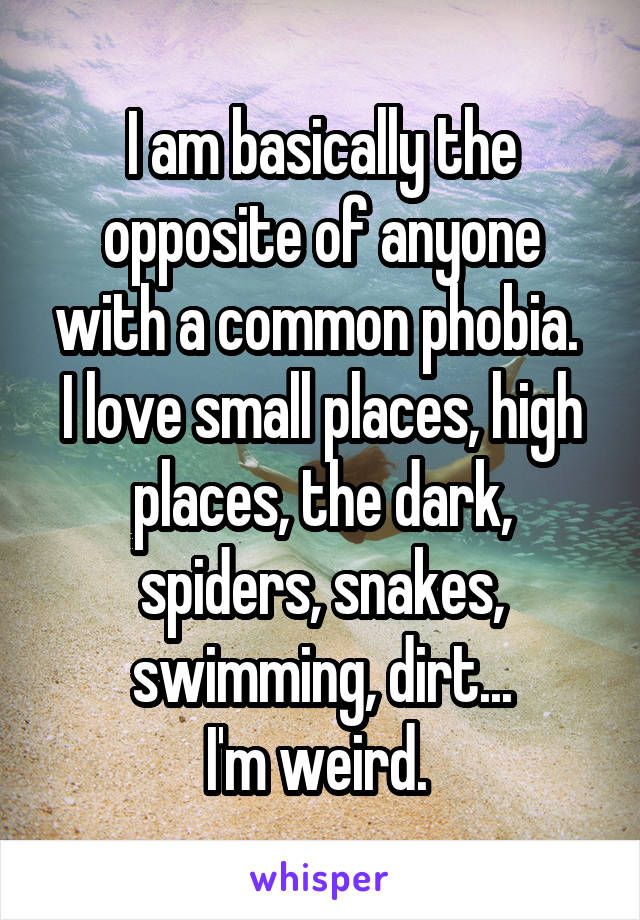 I am basically the opposite of anyone with a common phobia. 
I love small places, high places, the dark, spiders, snakes, swimming, dirt...
I'm weird. 