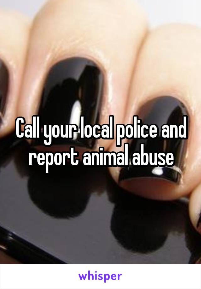 Call your local police and report animal abuse