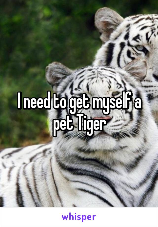 I need to get myself a pet Tiger