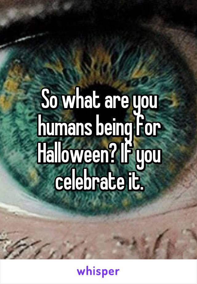 So what are you humans being for Halloween? If you celebrate it.