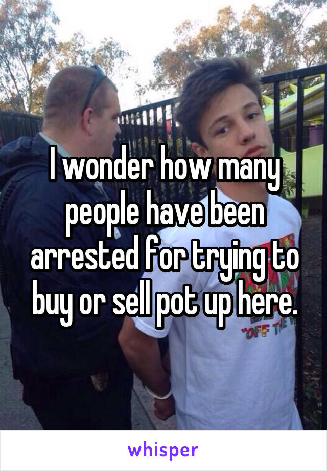 I wonder how many people have been arrested for trying to buy or sell pot up here.