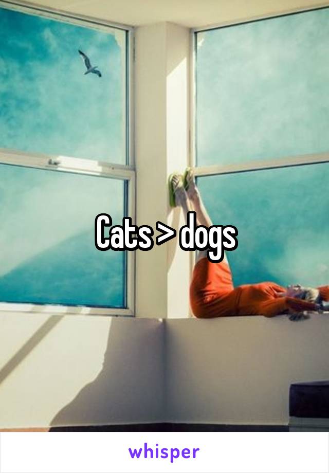Cats > dogs
