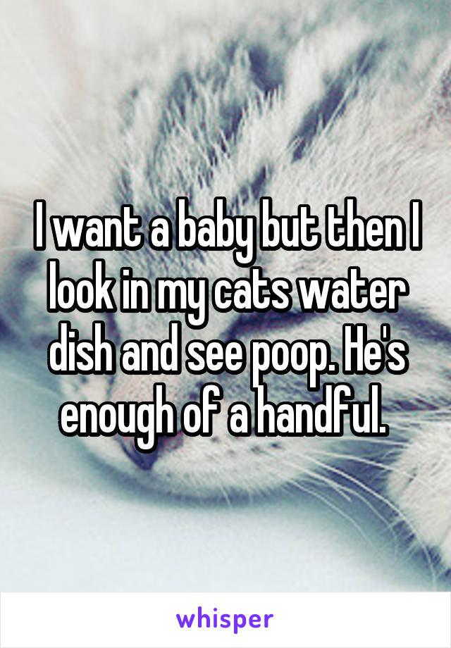 I want a baby but then I look in my cats water dish and see poop. He's enough of a handful. 