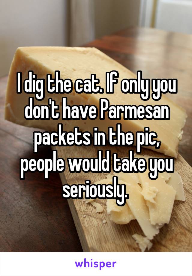 I dig the cat. If only you don't have Parmesan packets in the pic, people would take you seriously. 