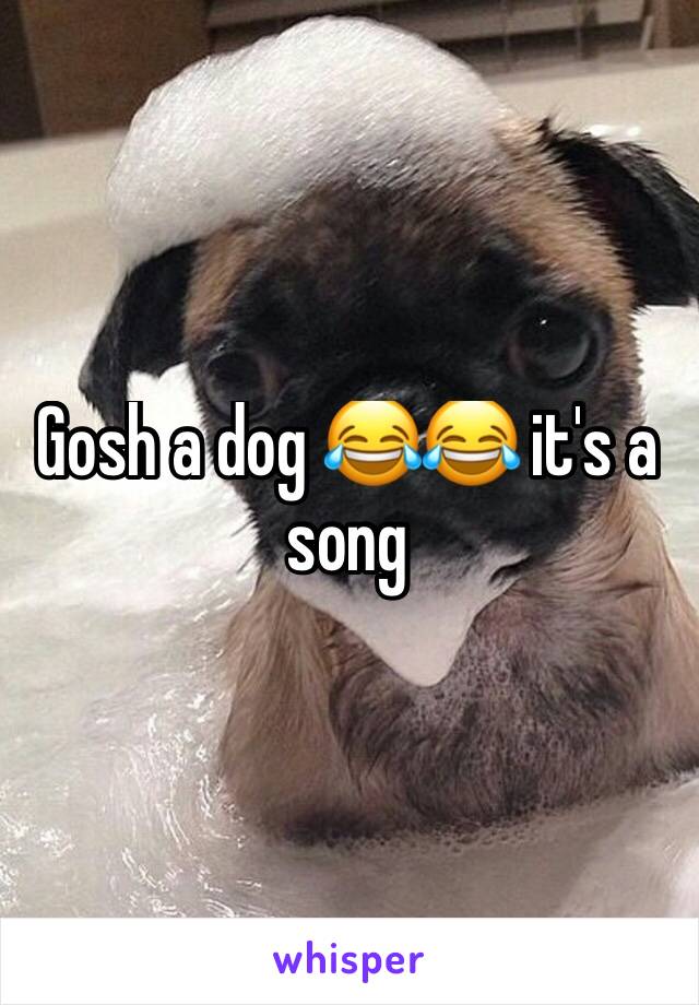 Gosh a dog 😂😂 it's a song 