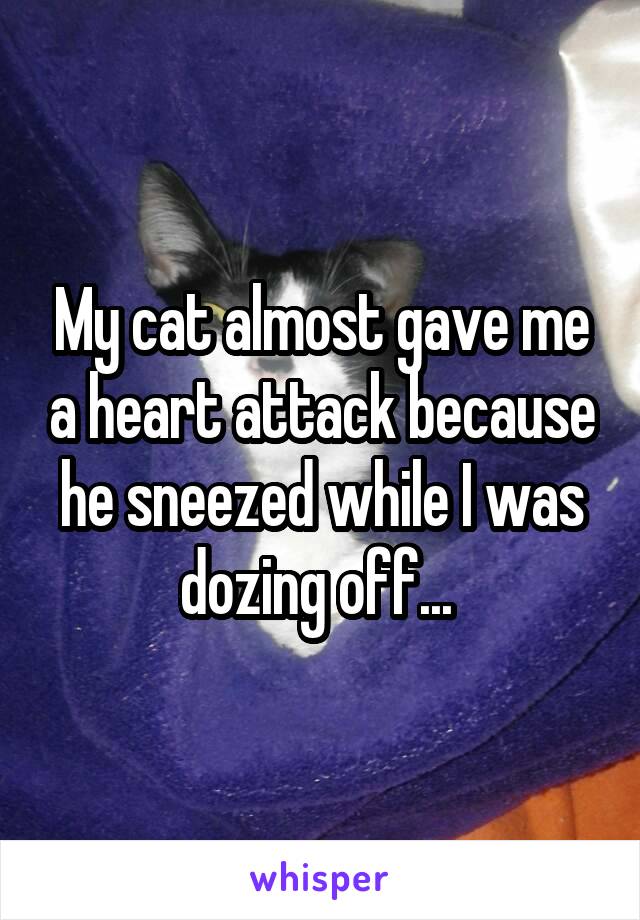 My cat almost gave me a heart attack because he sneezed while I was dozing off... 