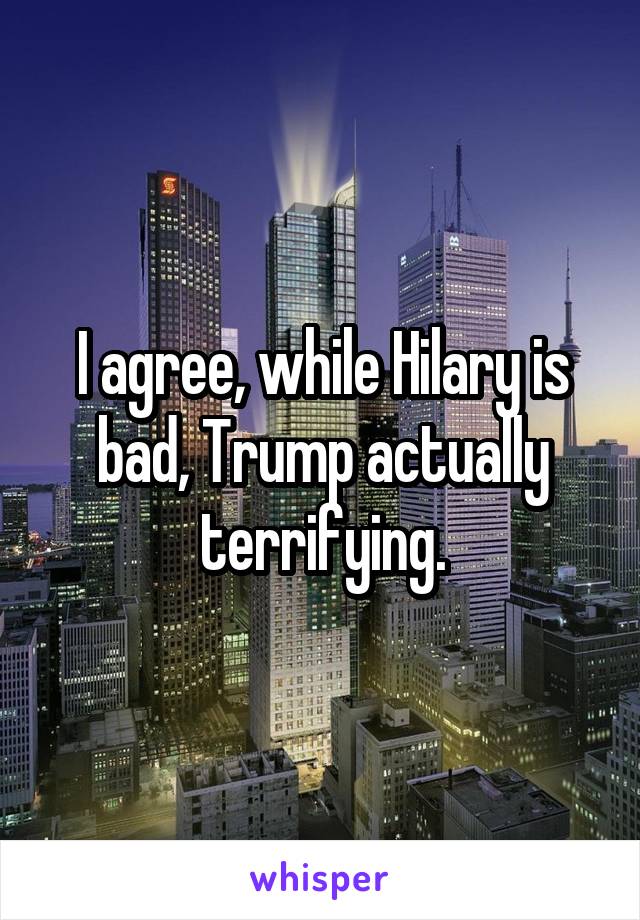 I agree, while Hilary is bad, Trump actually terrifying.