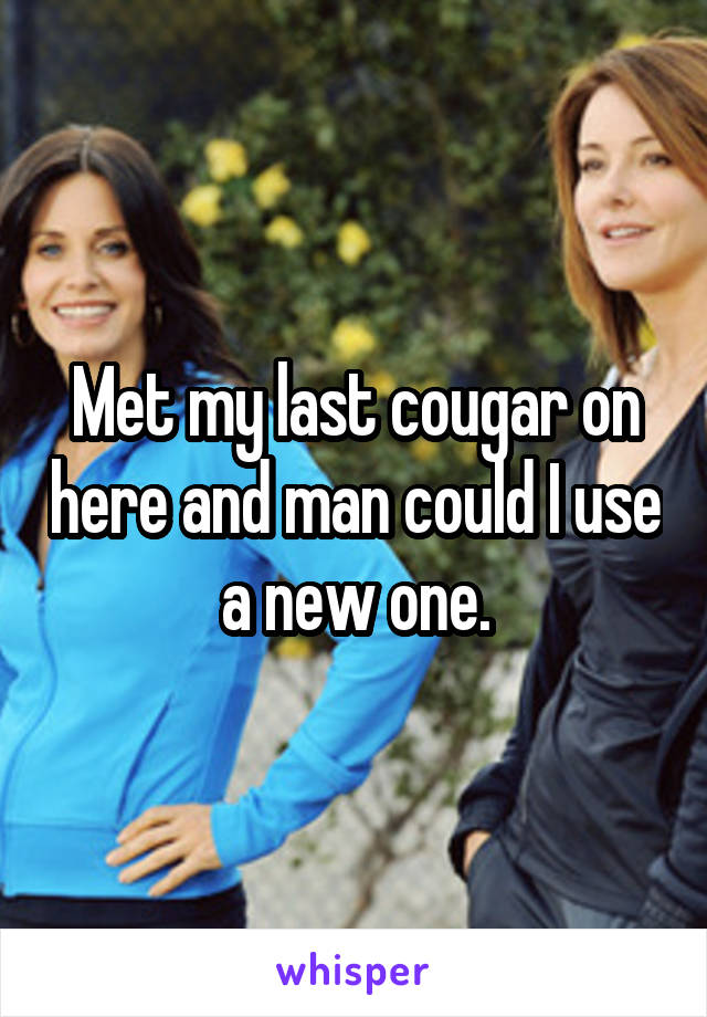 Met my last cougar on here and man could I use a new one.