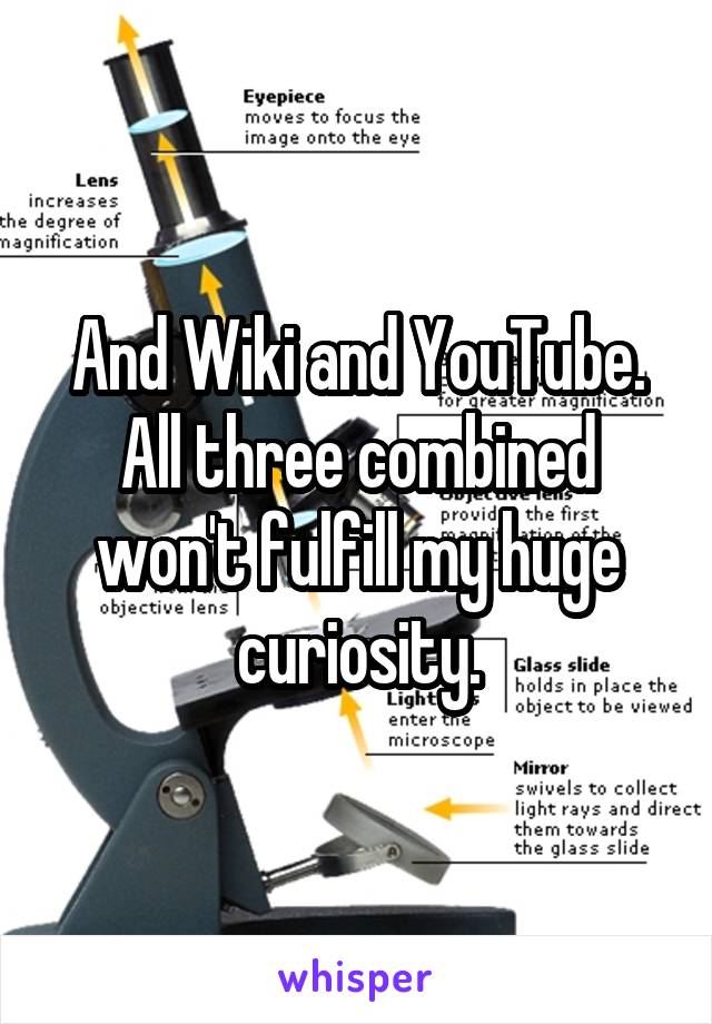And Wiki and YouTube. All three combined won't fulfill my huge curiosity.