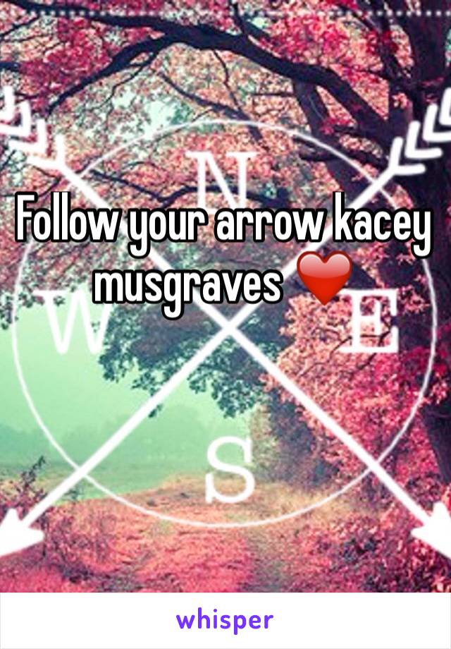 Follow your arrow kacey musgraves ❤️