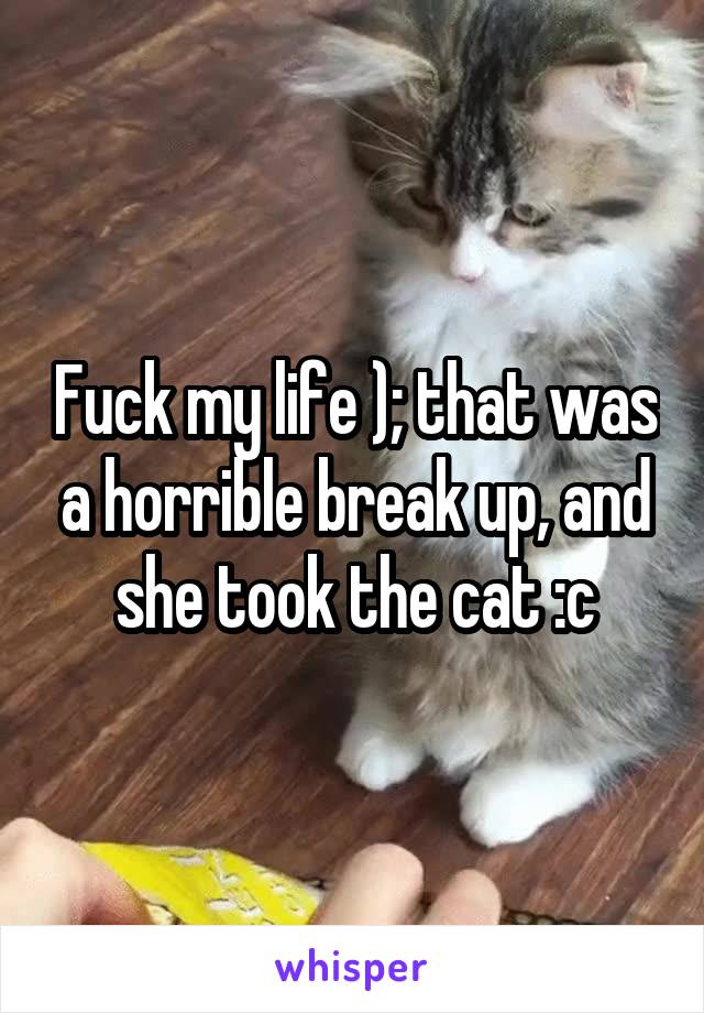 Fuck my life ); that was a horrible break up, and she took the cat :c