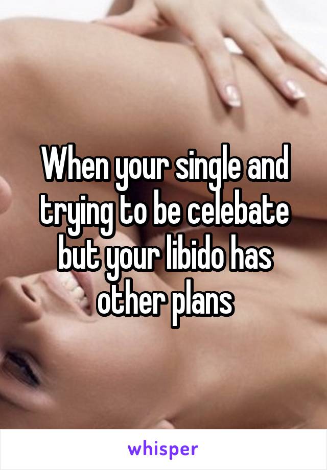 When your single and trying to be celebate but your libido has other plans