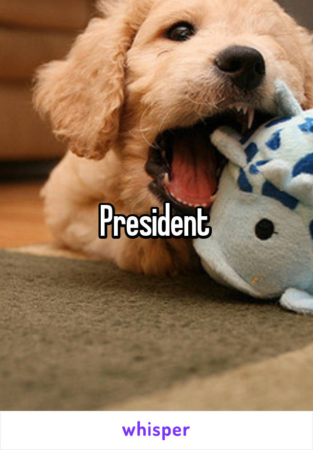 President 