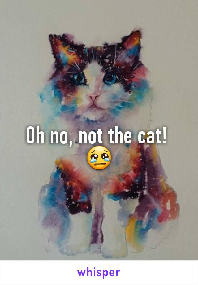 Oh no, not the cat! 
😢