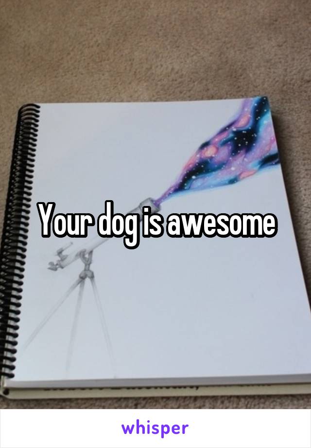 Your dog is awesome