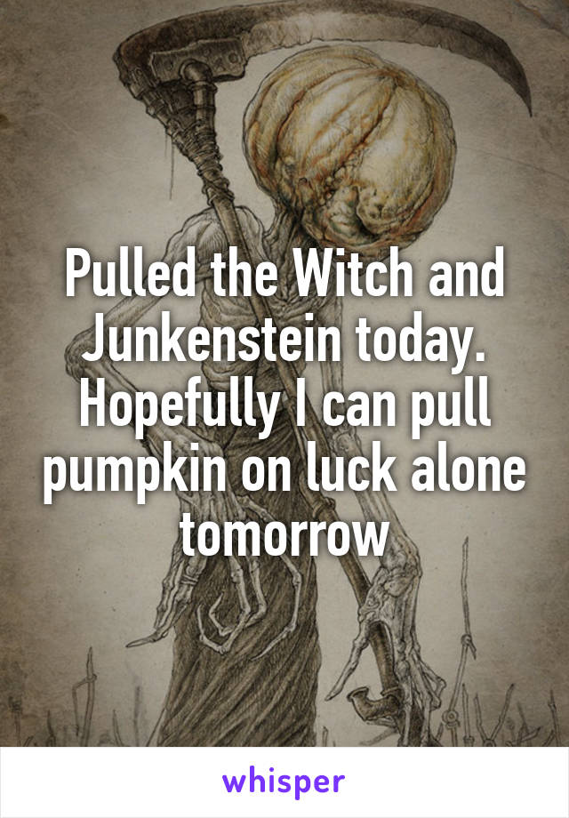 Pulled the Witch and Junkenstein today. Hopefully I can pull pumpkin on luck alone tomorrow