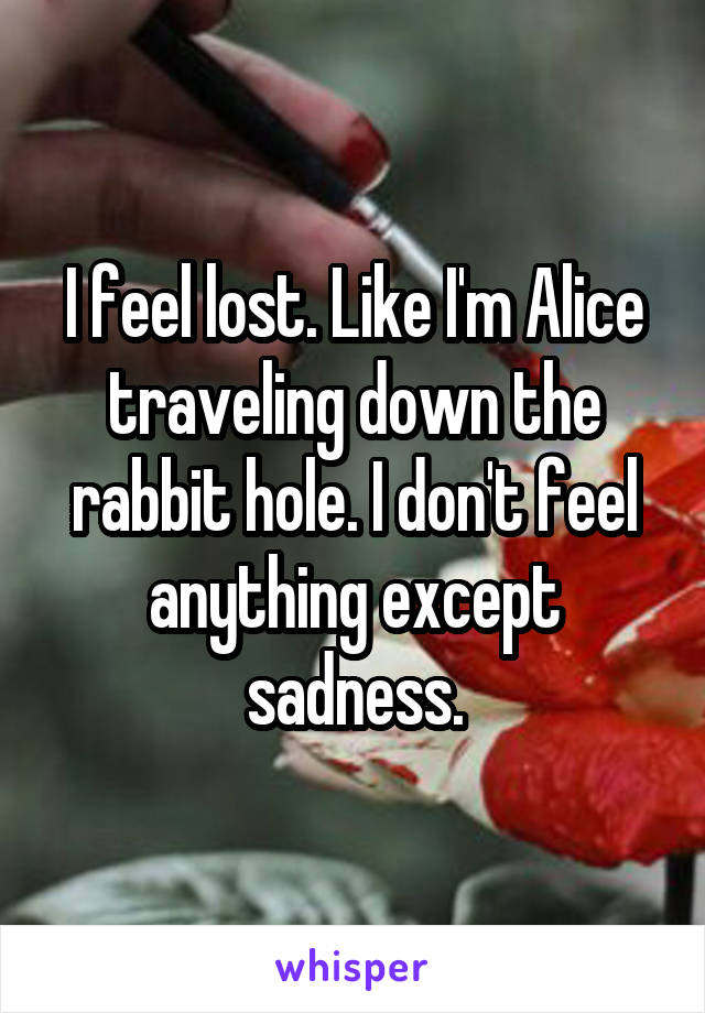 I feel lost. Like I'm Alice traveling down the rabbit hole. I don't feel anything except sadness.