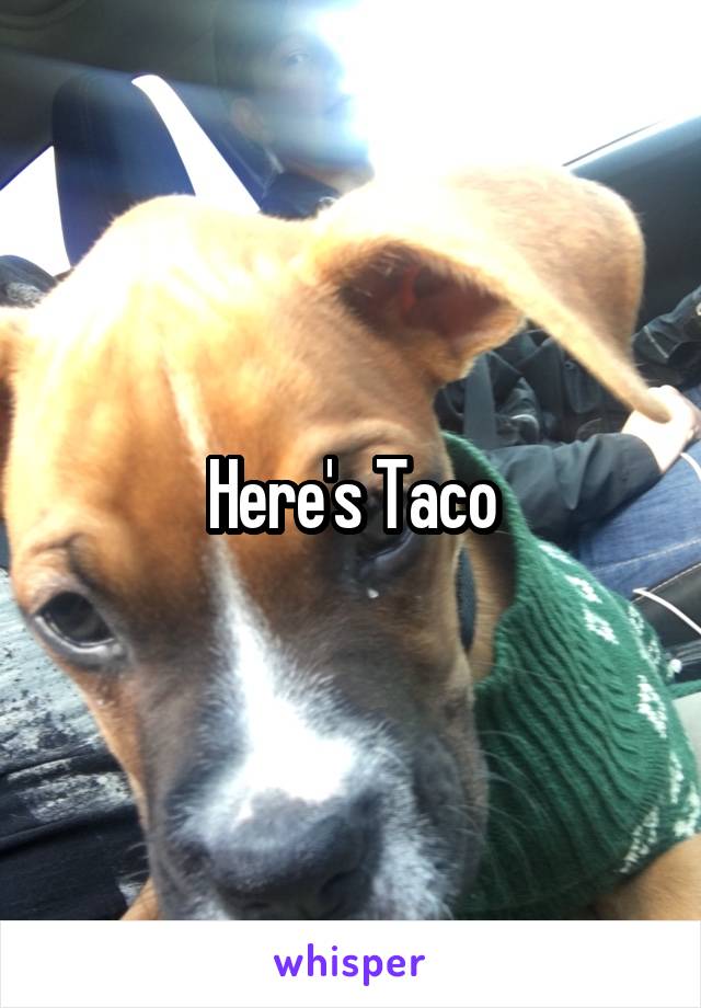 Here's Taco