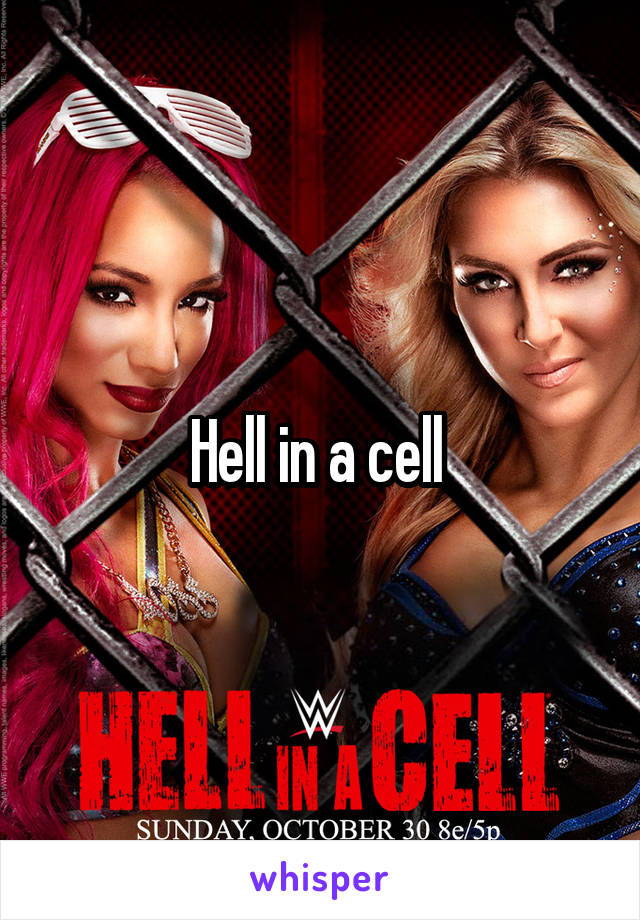 Hell in a cell 