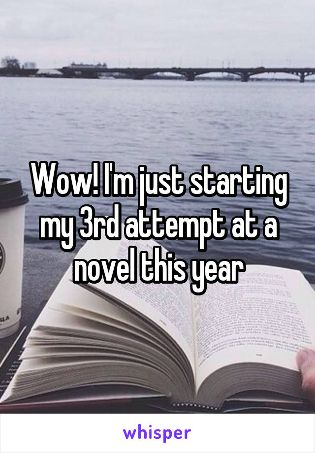 Wow! I'm just starting my 3rd attempt at a novel this year