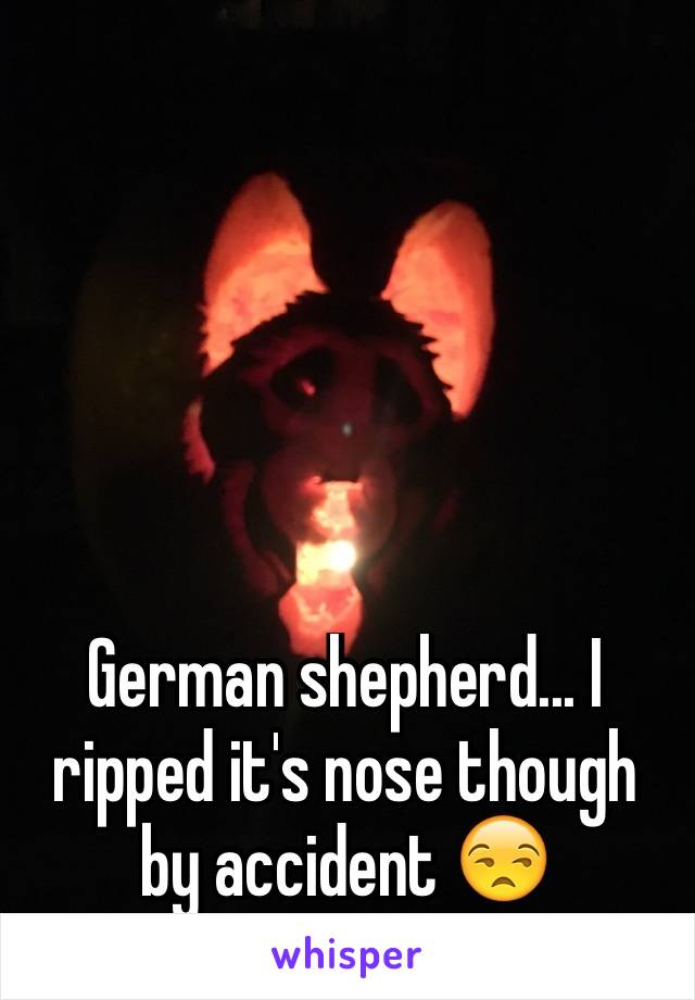 German shepherd... I ripped it's nose though by accident 😒