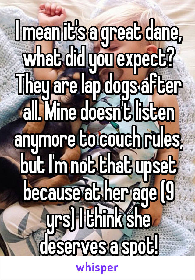 I mean it's a great dane, what did you expect? They are lap dogs after all. Mine doesn't listen anymore to couch rules, but I'm not that upset because at her age (9 yrs) I think she deserves a spot!