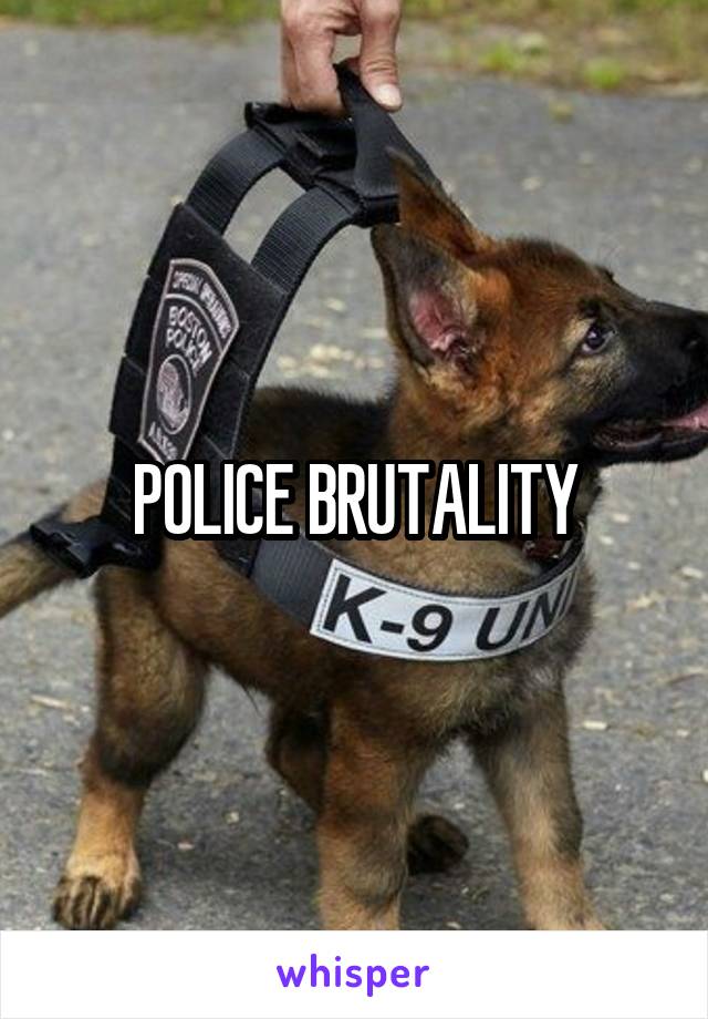 POLICE BRUTALITY