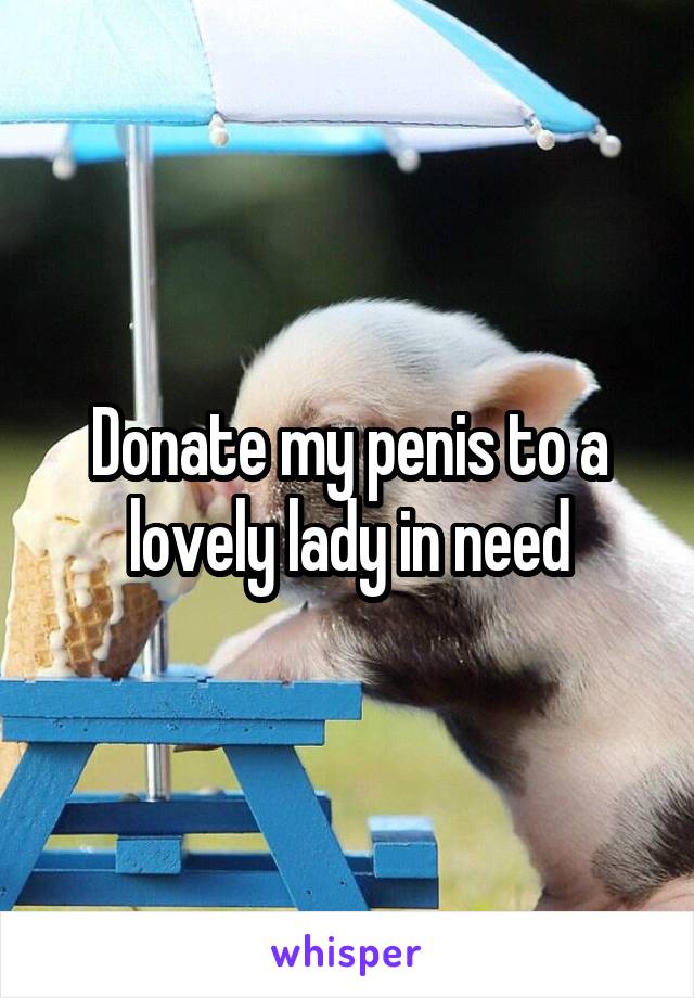 Donate my penis to a lovely lady in need