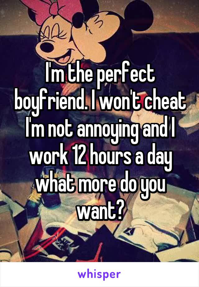 I'm the perfect boyfriend. I won't cheat I'm not annoying and I work 12 hours a day what more do you want?