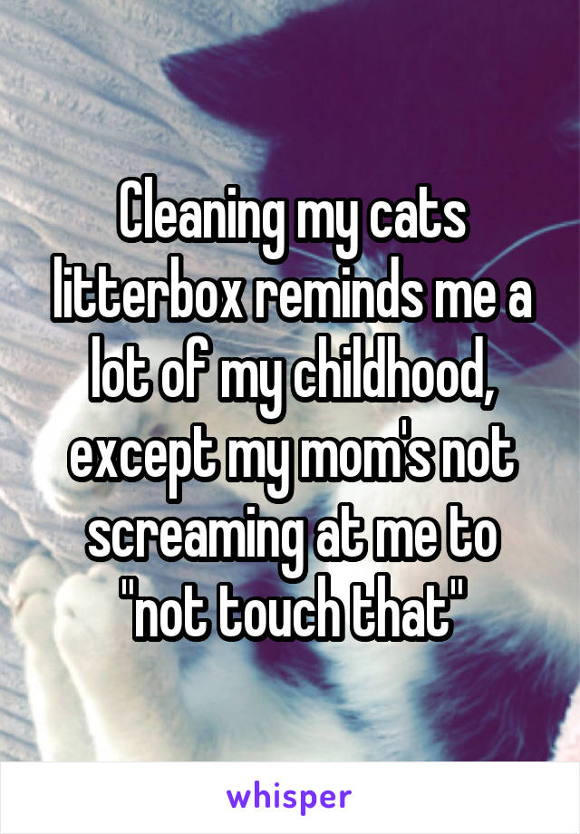Cleaning my cats litterbox reminds me a lot of my childhood, except my mom's not screaming at me to "not touch that"