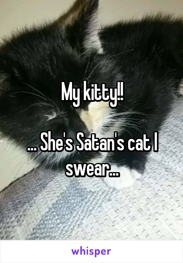 My kitty!!

... She's Satan's cat I swear...