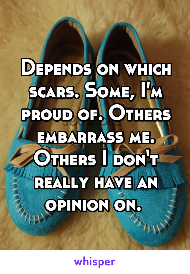 Depends on which scars. Some, I'm proud of. Others embarrass me. Others I don't really have an opinion on. 