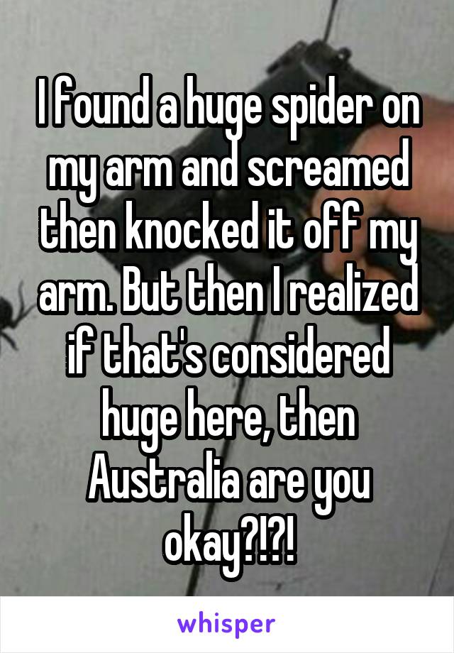 I found a huge spider on my arm and screamed then knocked it off my arm. But then I realized if that's considered huge here, then Australia are you okay?!?!