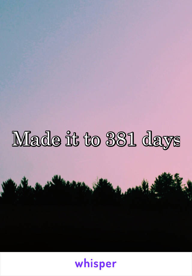 Made it to 381 days