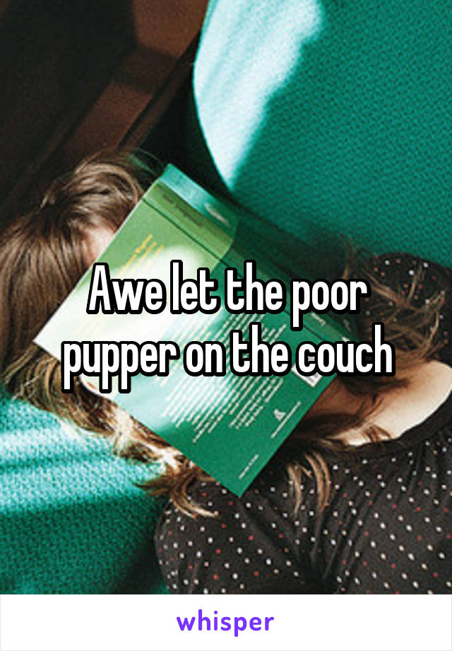 Awe let the poor pupper on the couch