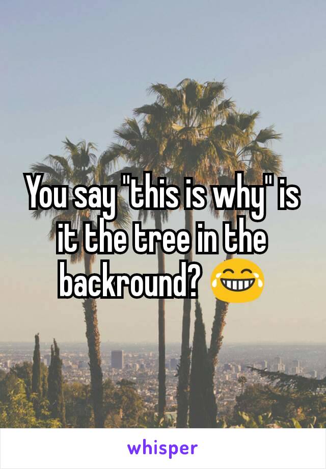 You say "this is why" is it the tree in the backround? 😂