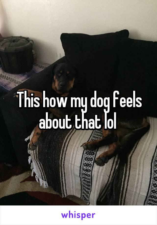This how my dog feels about that lol 