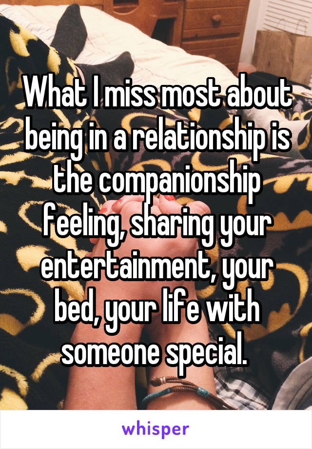 What I miss most about being in a relationship is the companionship feeling, sharing your entertainment, your bed, your life with someone special. 