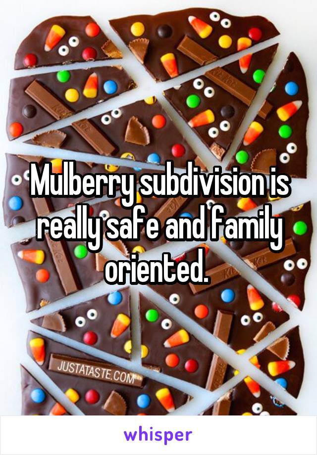 Mulberry subdivision is really safe and family oriented. 